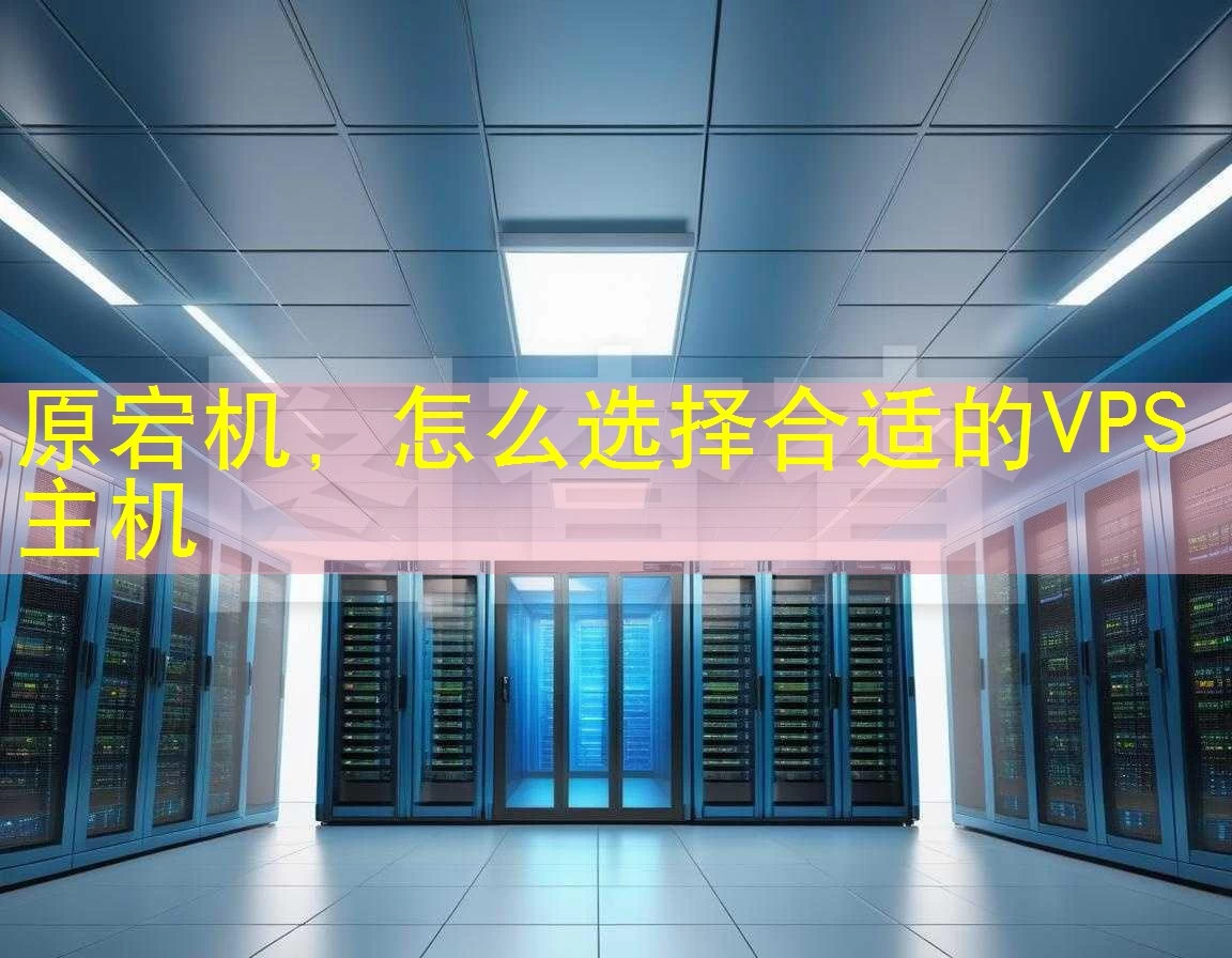 原宕机，怎么选择合适的VPS主机