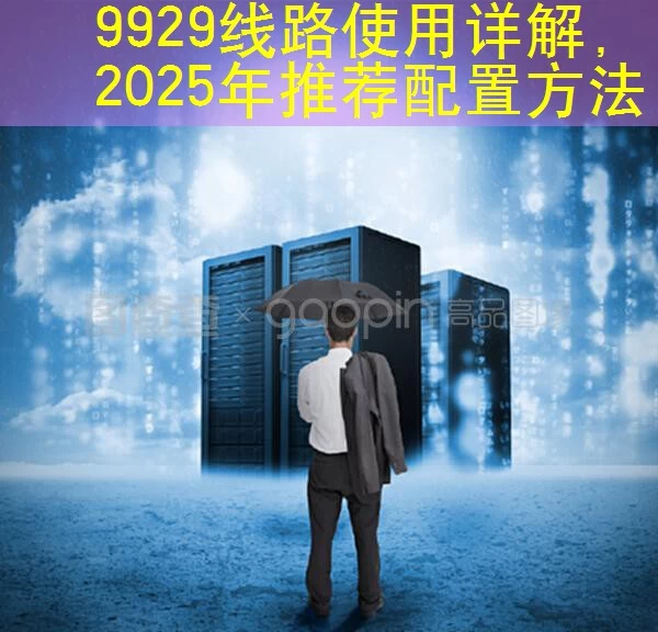 9929线路使用详解，2025年推荐配置方法