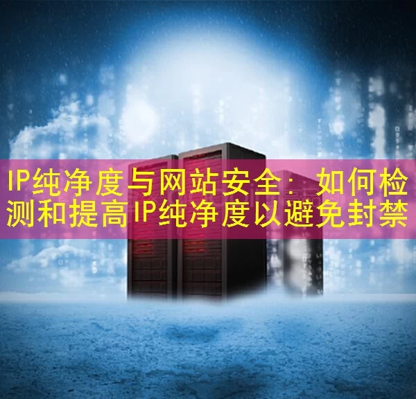 IP纯净度与网站安全：如何检测和提高IP纯净度以避免封禁