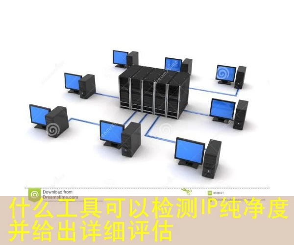 什么工具可以检测IP纯净度并给出详细评估
