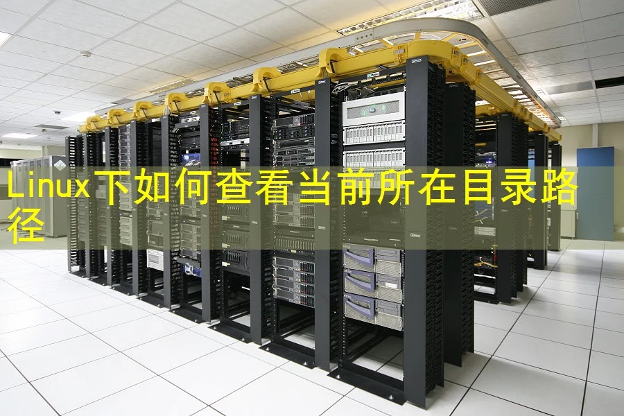 Linux下如何查看当前所在目录路径
