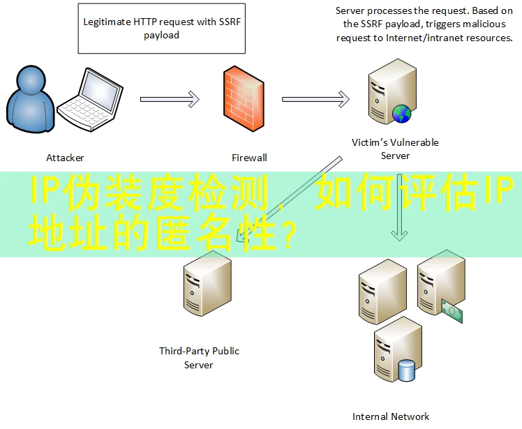 IP伪装度检测，如何评估IP地址的匿名性？